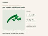 Eine digitale Vorschau eines grünen 3D-Druckprojekts namens Wippe XXL. Die Anzeige zeigt eine Druckzeit von 2 h 48 min 30 s, einen Materialverbrauch von 53,43 g PLA sowie technische Einstellungen für einen Bambu Lab A1 Drucker.