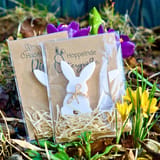 Osterhasenkarte mit 3D-Hase – Ansicht 9