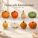 Kürbiswelt – 8 Kürbisformen als STL & 3MF – Ansicht 2