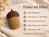 Infografik zu Dateien und Nutzung der Eicheldose mit Rillen