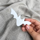 Weiße flache Fledermaus in einer Hand