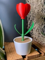 Mini-Tulpe im Topf ohne AMS – STL & 3MF – Ansicht 4