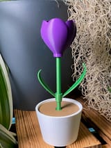 Mini-Tulpe im Topf ohne AMS – STL & 3MF – Ansicht 5