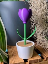 Mini-Tulpe im Topf ohne AMS – STL & 3MF – Ansicht 6