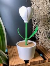 Mini-Tulpe im Topf ohne AMS – STL & 3MF – Ansicht 7