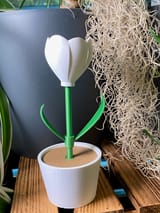Mini-Tulpe im Topf ohne AMS – STL & 3MF – Ansicht 8