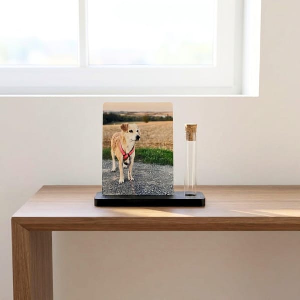 Haustier Andenken Fotohalter mit Erinnerungsglas | Hund Katze Fell Erinnerung personalisiert | Trauergeschenk Regenbogenbrücke – Bild 12